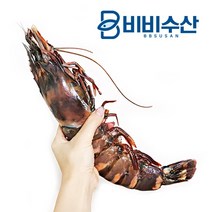 킹타이거 새우 1마리 180-229g 28cm내외, 단품