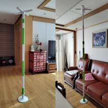 기둥형 침대 현관 화장실 안전손잡이 CV100 CV200 세비앙 봉 안전바 노인용 안전봉 노인 장기요양 복지용구 실버용품 요양등급 어르신용품, 노인장기요양등급 구입(본인부담금 15%), 1개