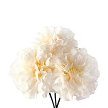 시즈넬 디퓨저 플라워스틱 지니아 화이트 3개, 향