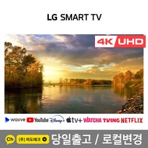 LG 43인치 4K 스마트 UHD TV 43UP8000 초고화질, 0. 매장방문수령