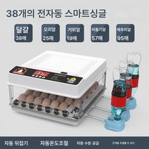 Ciliver 인큐베이터 전자동 스마트 병아리 모종 오리 거위 인큐베이터 소형 가정용 인큐베이터 비둘기 앵무새 인큐베이터, 1개, 심플 1종 나사 38매 화이트 싱글 전기