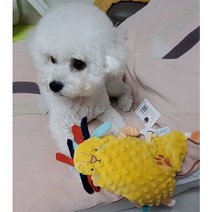 강아지 장난감 벨벳 애착 인형 분리불안 이갈이 쿠션 베개 반려동물, 사자_노랑