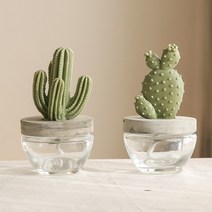 아로마코 선인장 석고 디퓨저 100ml 3가지 향, 잉글리쉬 가든