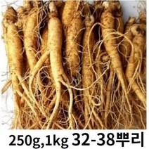 실속형 실속형인삼 국내산 인삼 250g 750g 1kg 옵션선택 (믹서용 홍삼용 실속인삼), 실속인삼 250g (10-12뿌리), 1개