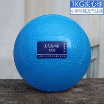 훈련용 투포환 공 1-3kg 육상 체육 체대 입시, 블루 1kg