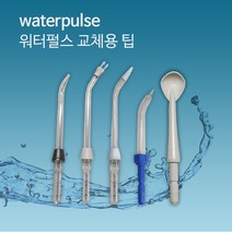 워터펄스 교체용 노즐팁 워터픽 구강세정기, 제트팁