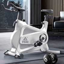 가정용 실내자전거 싸이클 스피닝자전거 무소음 운동 헬스바이크, 화이트