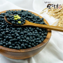 특품 2022년 햇 국산 콩나물콩 선별약콩 쥐눈이콩 약콩 콩나물콩키우기, 1개, 2kg