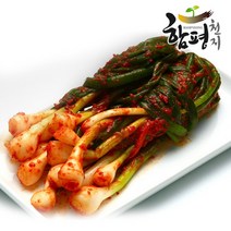 [함평천지] 함평나비골 남도식 파김치 1kg, 1개