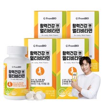 프롬바이오 활력건강엔 멀티비타민 19가지 기능성 츄어블 미네랄 온가족건강, 1400mg, 4개, 60정