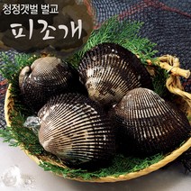 보성 벌교여자만 피꼬막 3kg (혼합)/산지직송, 단품