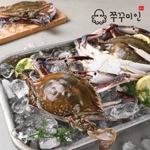 [쭈꾸미인] 서해안 활꽃게 급냉 숫꽃게 1~10kg(옵션형), 서해안 활꽃게 급냉 숫꽃게 5kg(15-20미), 1개