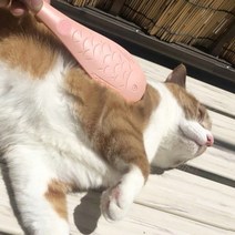 펫홈 우리 고양이 그루밍 브러쉬 반려묘 혀빗, 본상품