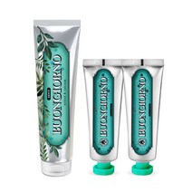 아토세이프 덴티본조르노 구취케어 치약 170g 1개+구취케어 100g 2개, 단품