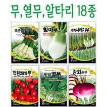 주주씨앗 무 열무 알타리 / 조춘알타리씨앗 / 열무씨앗 / 강화순무씨 / 아롱다발무 / 청수궁중무 / 청백무 / 시래기무 / 자색무 / 과일무 / 씨앗 / 김치, 13. 향단이 열무 30g