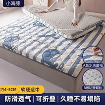 매트리스 딱딱한 단단한 하드 토퍼 메트리스 라텍스 허리안아픈 퀸 얇은, Color5