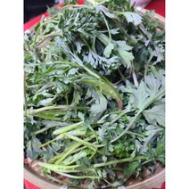 #가락시장 나물이네# 당일경매 / 따뜻한 성질이 가득한 생 쑥 1kg 내외 // 오후 2시이전주문당일출고99% / 주말 공휴일제외