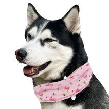 멍장군 강아지 애견 여름 쿨 아이스 스카프, M(10kg~25kg), 플라밍고, M (10~25kg)