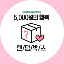 2주년 스마트톡 핑거 그립톡 럭키 랜덤박스 10개, 랜덤박스(그립톡10개)