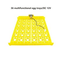 병아리인큐베이터 병아리부화기 병아리육추기 110V 220V 36 계란 부화기 Brooder 조류 메추라기 병아리 부화장 가금류 해쳐 터너 자동 농장 부화 도구, DC 12V