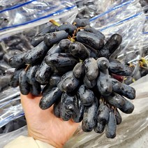 씨없는 블랙사파이어 가지포도 수입 핑거 마녀 포도, 700-800g (알알이낱알구성) 1봉지, 1개