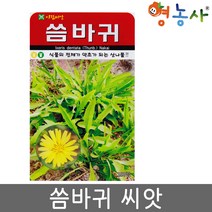 씀바귀씨앗 100립, 씀바귀