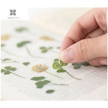 보드미_리빙 네잎클로버스티커 압화스티커 네잎클로버 예쁜 꽃 스티커 다꾸 자 4P, 본상품