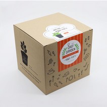 셰프가든 루꼴라 식물 키우기 좋은 모종 키트 재배 쉬운 심기 화려한화분 씨앗 사계절, 단품