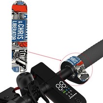 출퇴근용 전기 스쿠터, 스타일 5