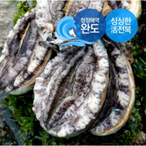 [생일도참전복] 바다내음듬뿍 싱싱 ( 완도 활전복 9-10미1kg 1.5kg 2kg ) 산소포장 당일발송, 1box, 1kg 선물포장