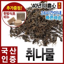 자애인 국산 취나물 산나물 건나물, 1개, 100g