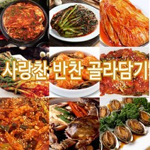사랑찬 수제반찬74가지 골라담기, 68_백김치1kg