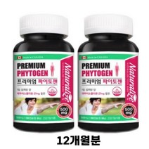 파이토젠 대두 이소플라본 식물성 에스트로겐 여성 갱년기 영양제 PHYTOGEN, 2개, 파이토젠 6개월분