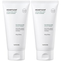 허브노트 어성초 약산성 마일드 딥 폼 클렌저, 150g, 2개