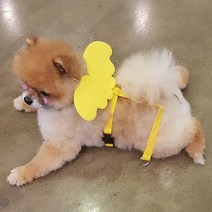예펫 날개 하네스 강아지 고양이 가슴줄, 하네스_스카이_M