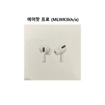 Apple 2019 에어팟 프로 맥세이프 미호환, 화이트, MWP22KH/A