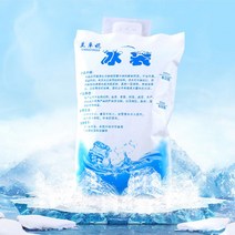 블루윙 휴대용 미니 젤 아이스팩 반제품 캠핑용 여행용 600ml, 1개
