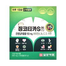[하늘문 케어] 일양약품 약국 정품 징코티카S 에스 4개월분 2개월분 은행잎 조혈비타민 혈액순환 혈행개선 이명 집중 징코큐텐, 60캡슐