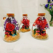 프리저브드유리돔 프리저브드 플라워 병 신혼집 집들이 선물 커플선물 꽃이있는풍경 시들지않는꽃, 프리저브드 타입2