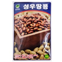 성우 땅콩씨앗 50립, 단품