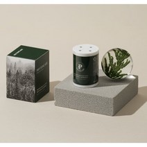 JW생활건강 피톤케어 리뉴얼 최신형 피톤치드 차량용 방향제 리필 카트리지 2개 세트