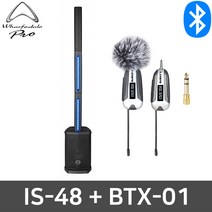 와피데일 IS-48+BTX01 집회용 강연용 강당 무선마이크