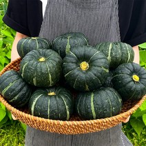 농가살리기 고창 햇 보우짱 로얄과 미니밤호박 3kg 5kg, 미니밤호박 로얄과 5kg (7~15개 내외)