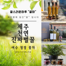 꿀하 제주 자연 천연 실속형 때죽나무 꿀 효도 감동 특별한 고급 프리미엄 고급 최고급 명품 답례품 단체상품 가성비 선물 세트 꿀스러운하루
