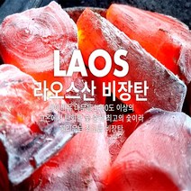 라오스비장탄 참숯 백탄 차콜 고기숯 구이용 바베큐 업소용숯, S
