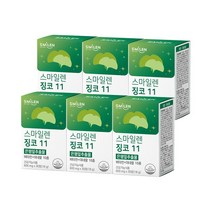 브랜드없음 스마일렌 징코11 30정 6통 은행잎추출물, 선택완료, 단품없음
