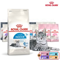 로얄캐닌 캣 인도어 7+ 1.5kg / 24.03 생후 7년 이후 실내생활 노령묘 건식사료 간식2종&보관팩증정, 간식/지퍼백등 증정, 2024.05
