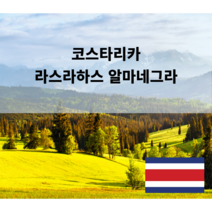 원두공방 [스페셜티] 코스타리카 라스라하스 알마네그라 내추럴 200g 500g 1kg, 핸드드립/커피메이커