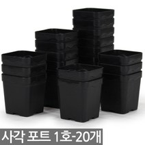 24구 사각포트 연결구 - 모종판 포트 모종 트레이 재배 씨앗 연결포트 다육포트 묘목 모판 화분 다육이, 04_세인_사각포트(1호) x 20개