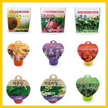 세계종묘 재배세트 /미니화분세트 식물키우기키트, 삼색제비꽃, 세계재배세트
